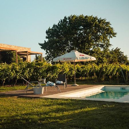 Pizzorno Lodge & Wine Progreso Eksteriør billede