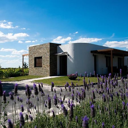 Pizzorno Lodge & Wine Progreso Eksteriør billede