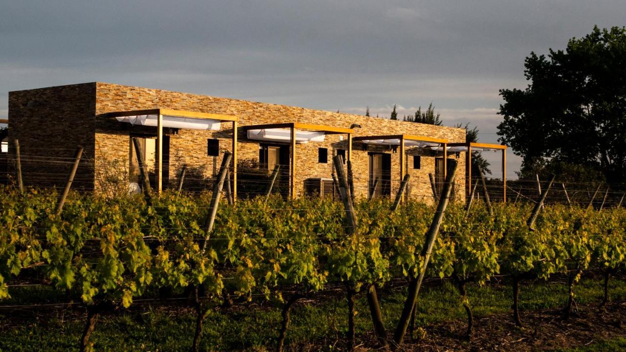 Pizzorno Lodge & Wine Progreso Eksteriør billede