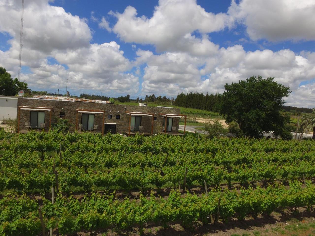 Pizzorno Lodge & Wine Progreso Eksteriør billede