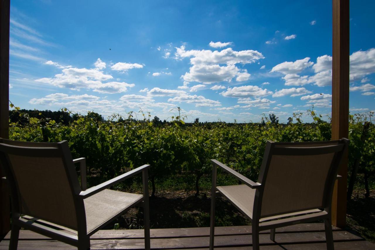 Pizzorno Lodge & Wine Progreso Eksteriør billede