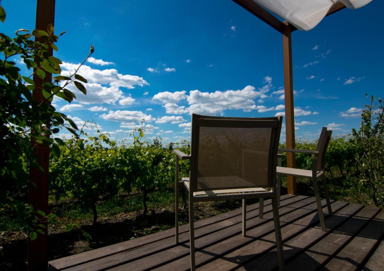 Pizzorno Lodge & Wine Progreso Eksteriør billede