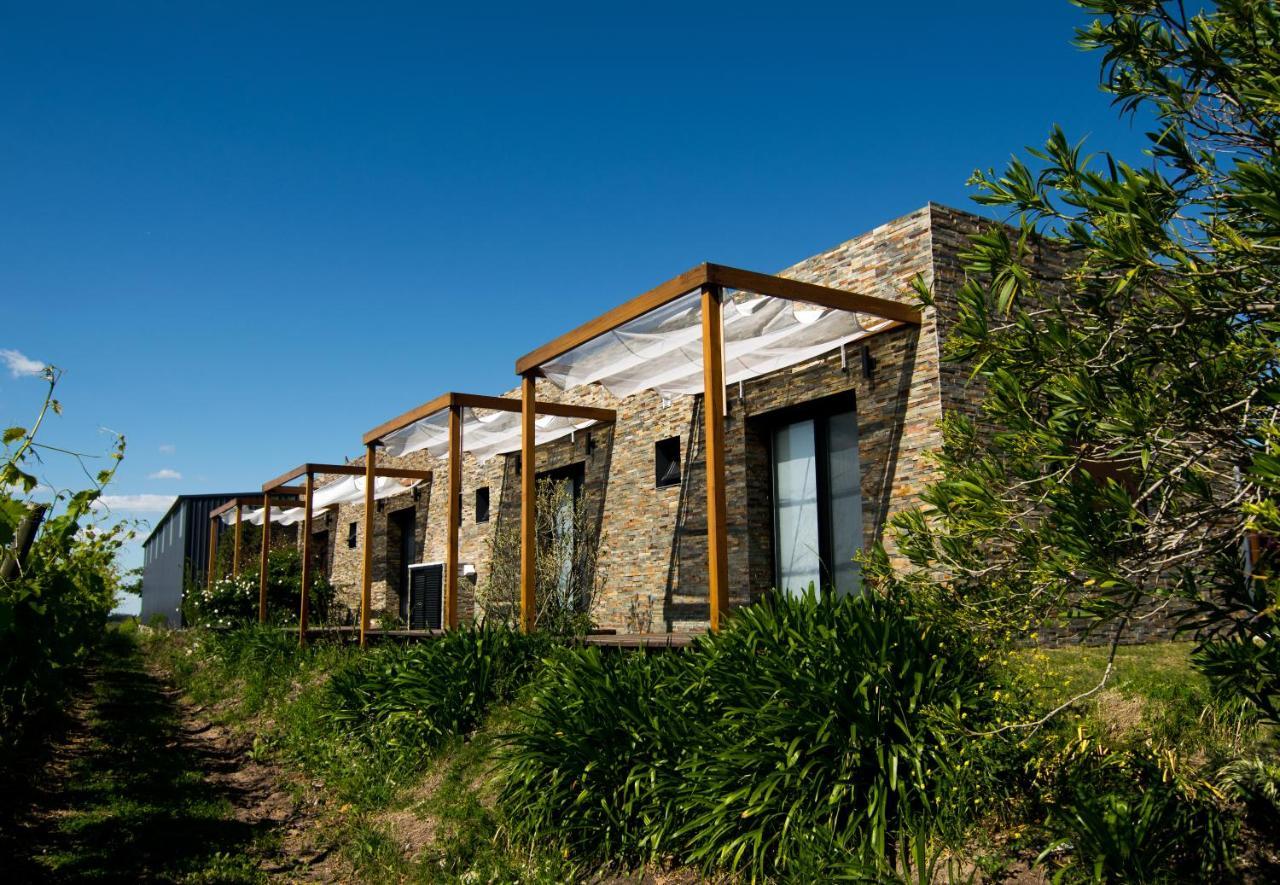 Pizzorno Lodge & Wine Progreso Eksteriør billede