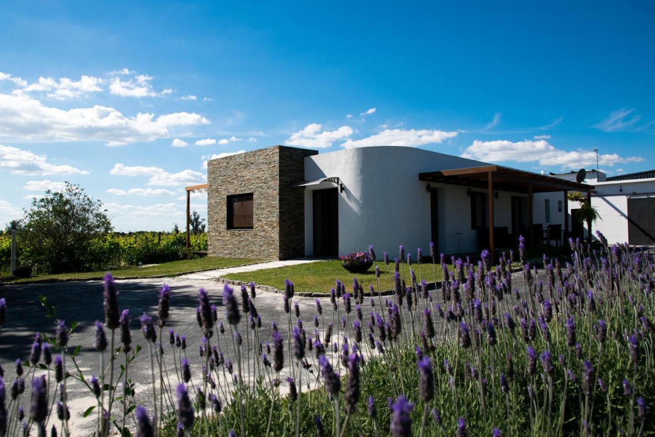 Pizzorno Lodge & Wine Progreso Eksteriør billede